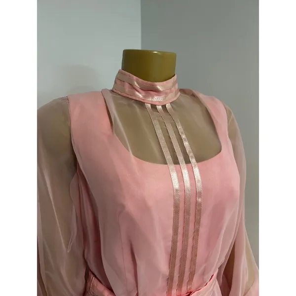 Vintage 70s Pink Chiffon Maxi Gown Sheer Bishop Sleeve Mock Neck Formal Dress - Image 3