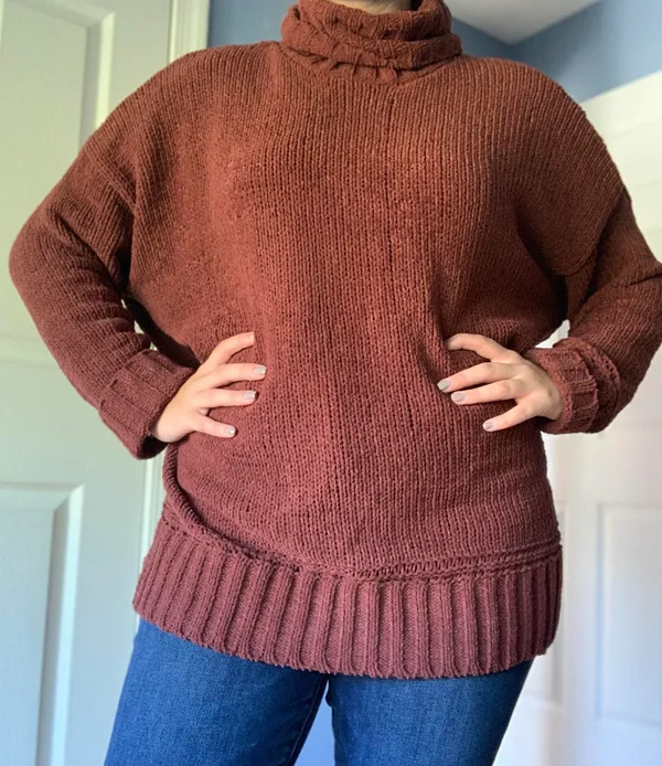 Aerie Turtleneck Sweater - Image 2