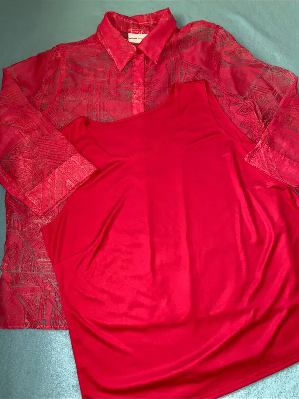 ALFRED DUNNER 2 pc button up 3/4 sleeve semi sheer, matching tank top size 16 - Image 2