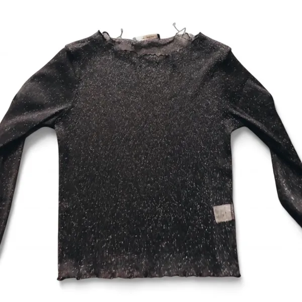 Brandy Melville Sheer Top Glitter - Image 3