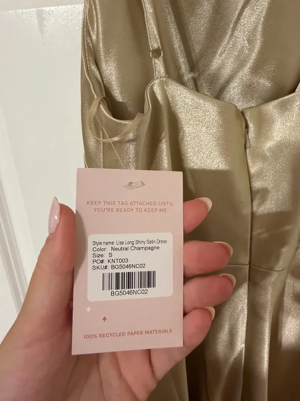 Birdy Grey Lisa Dress in Neutral Champagne - Image 4