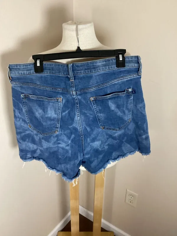 Pilcro by Anthropologie Cloud Wash Raw Hem Denim Shorts, Size 31 - Image 3
