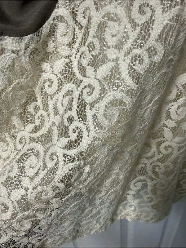 Kensie Cream Lace Panel Mini Dress with Brown Contrast - Image 4