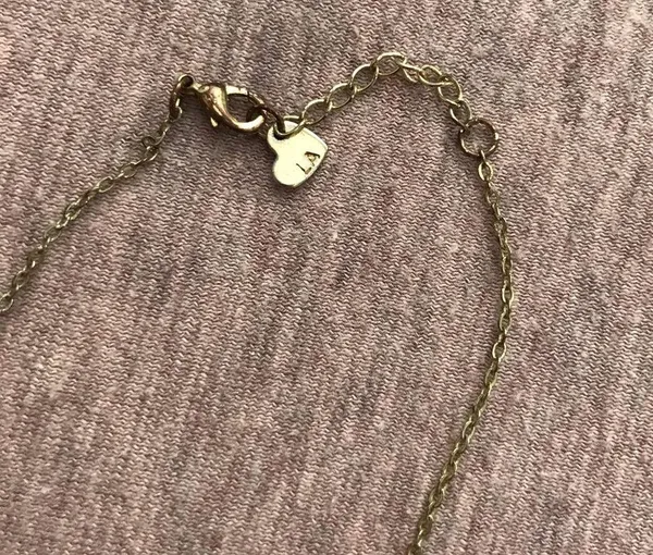 Brandy Melville Necklace - Image 3