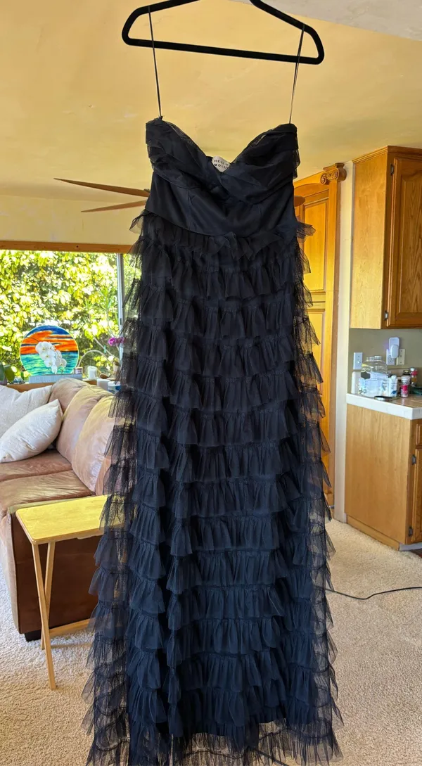 Hello Molly Lovers in Paris Strapless Tulle Maxi Dress - Image 2