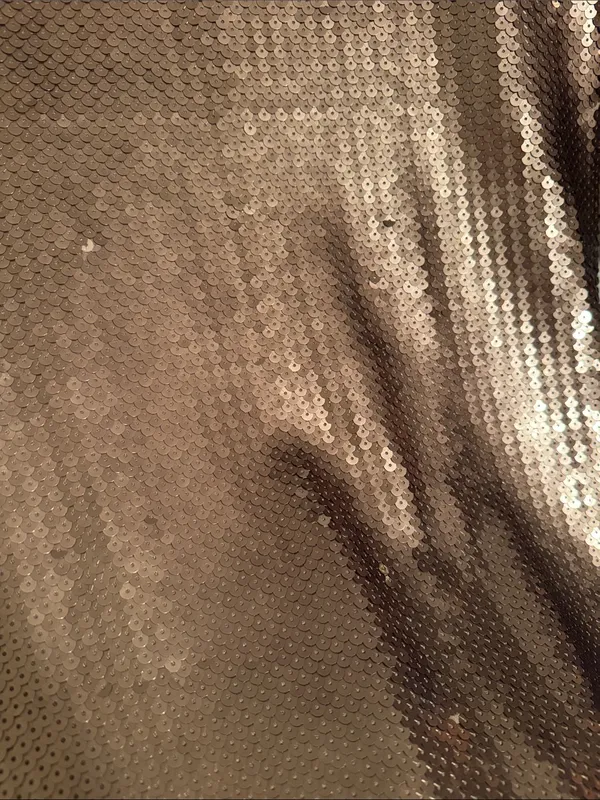 BB Dakota Sequin Dress NWT - Image 4