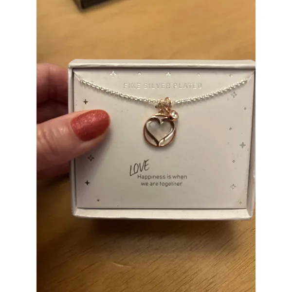 New Women’s or Girls Silver Plated 2 Charms Heart ❤️ & Faux Diamond 💎Necklace🤩 - Image 4