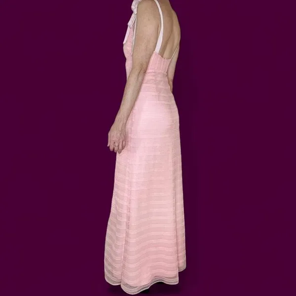 Lovers + Friends Light Pink Textured Lace Girly Coquette Maxi Sleeveless Dress - Image 3