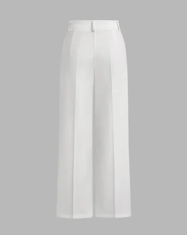 Petite Mid-Rise Pleated Straight Leg Pants Cider - Image 2