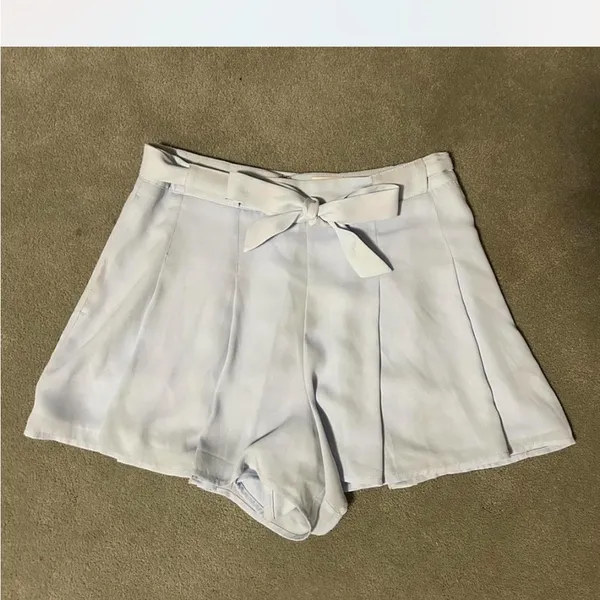 Aritzia Blue Shorts with Belt - Image 4