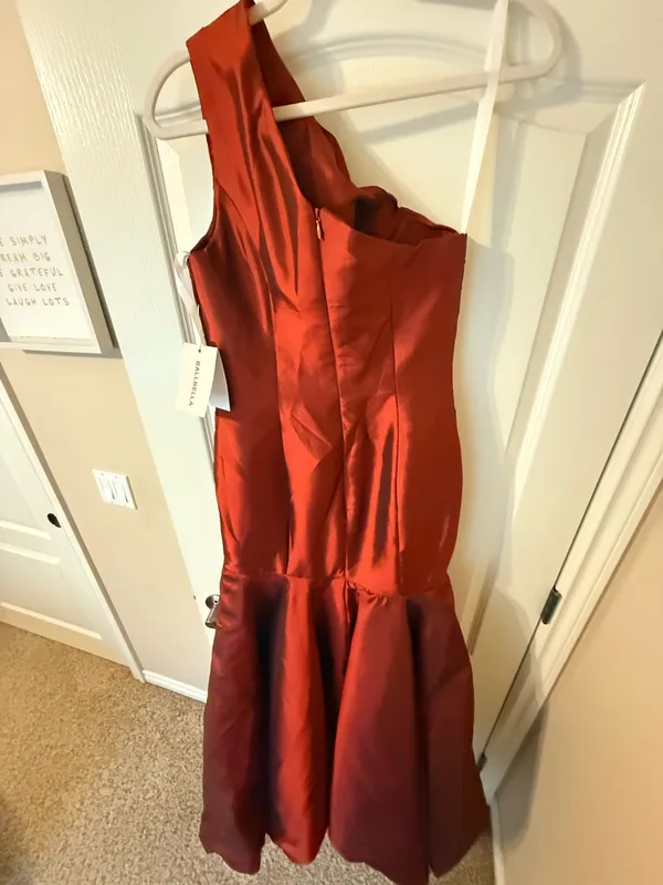 Isabella Fiore One Shoulder Rust Mermaid Gown - Image 6
