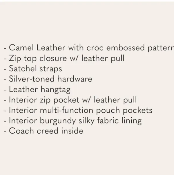Coach Ashley Croc Embossed Bag - Image 9