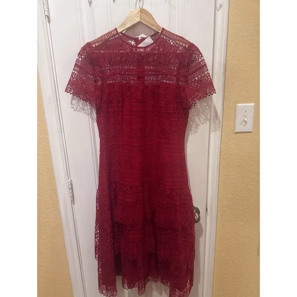 ANTONIO MELANI Red Ochre Lace Overlay Midi Dress, Mermaid-styleHem, Lined, Sz 10 - Image 7