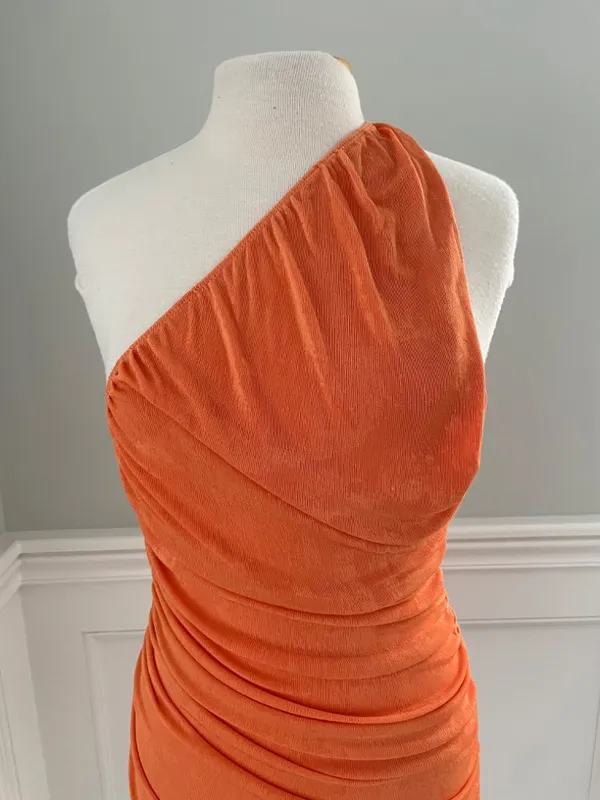Lioness "The Goddess" Mini Dress In Orange! - Image 4