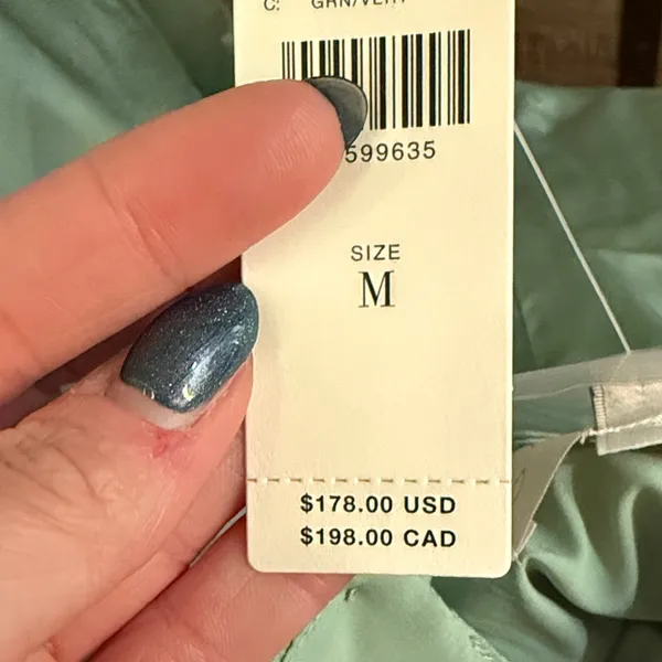Anthropologie Corey Lynn Carter mint/sage silk slip dress - Image 7