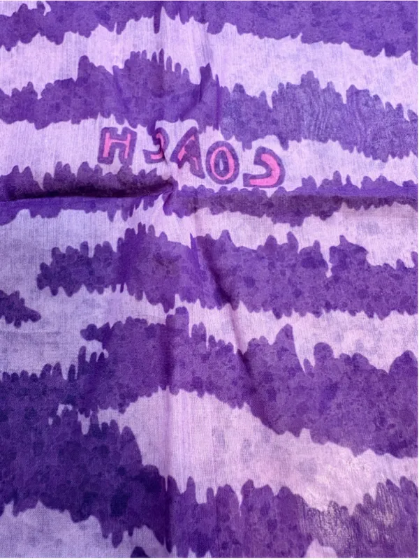 Coach Poppy Zebra Square Scarf 21”x21” Y2K - Image 2
