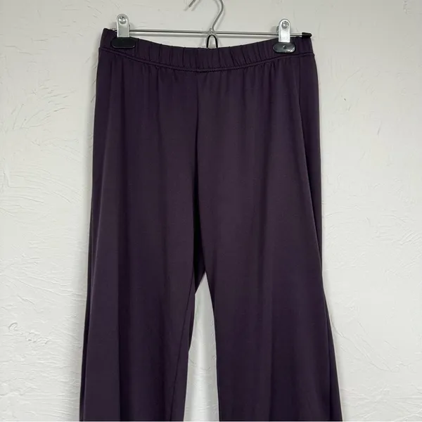 Patagonia Purple Straight Leg Pull On Pants Womens S Track Pants Casual Athletic - Image 4