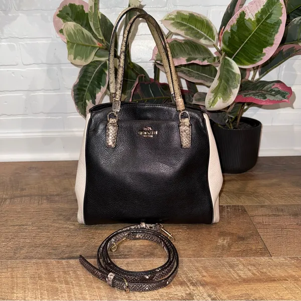 Coach Minetta Snakeskin-Patterned Black and Cream Crossbody Bag - Image 9