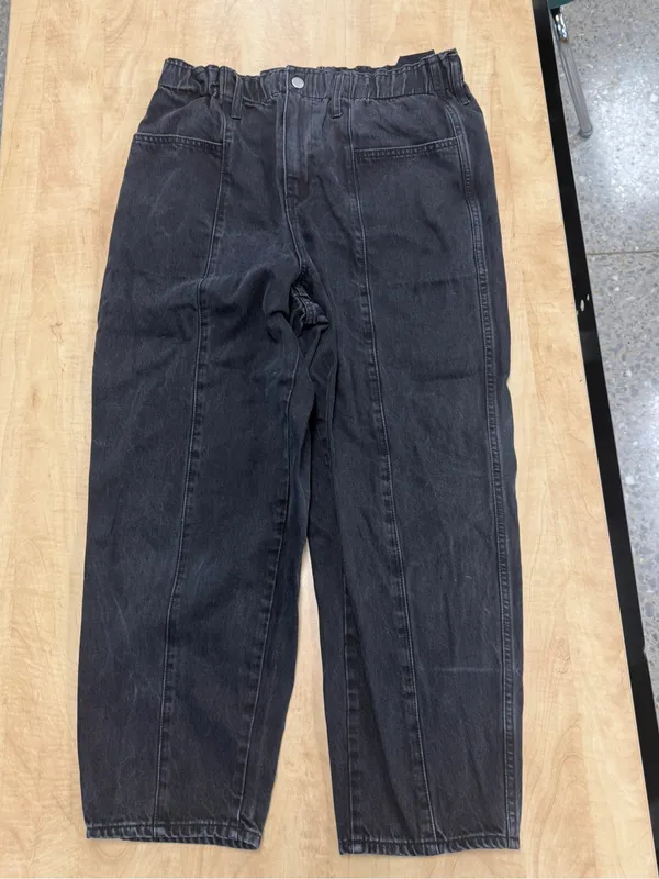 Madewell Pull-On Balloon Jeans in Hobson Wash: Paperbag Edition Sz L - Image 13
