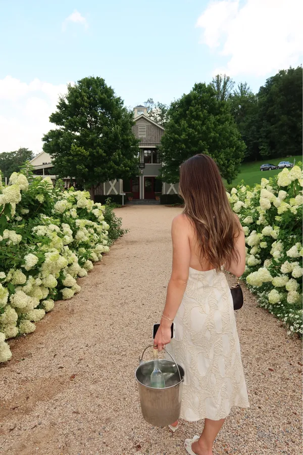 ZARA Dress - Image 2