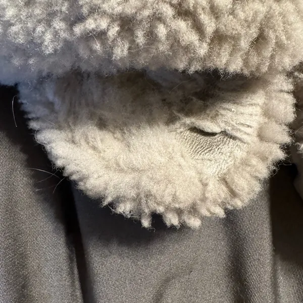 UGG Cozy Cream Fuzzy Slippers very worn as shown still wearable Women’s size 7 - Image 2