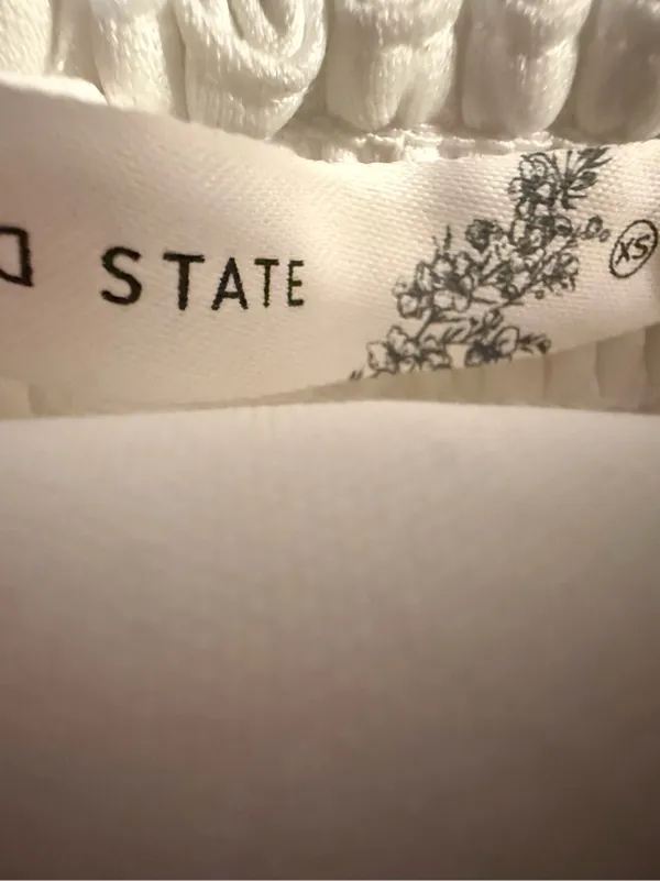Altar’d State Strapless White Tulle Dress - Image 8