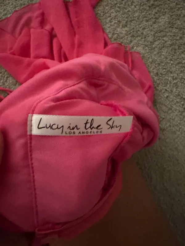 Lucy in the Sky Pink Dress - Image 3