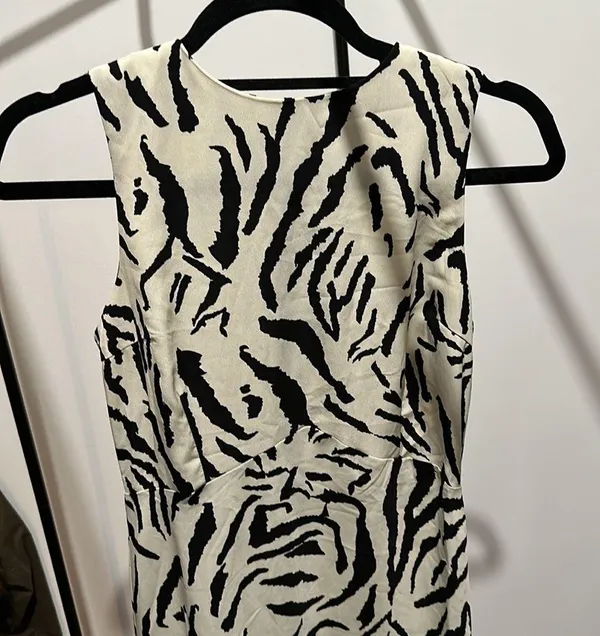 Nasty Gal Printed Zebra Maxi Dress 🦓 - Image 5