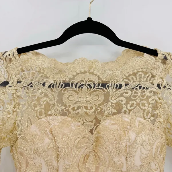 Sheer Gold Lace Overlay Formal Dress Sweetheart Neckline Victorian Regency Sz 2 - Image 8