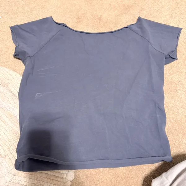 Brandy Melville Blue Newport Crop Top - Image 2