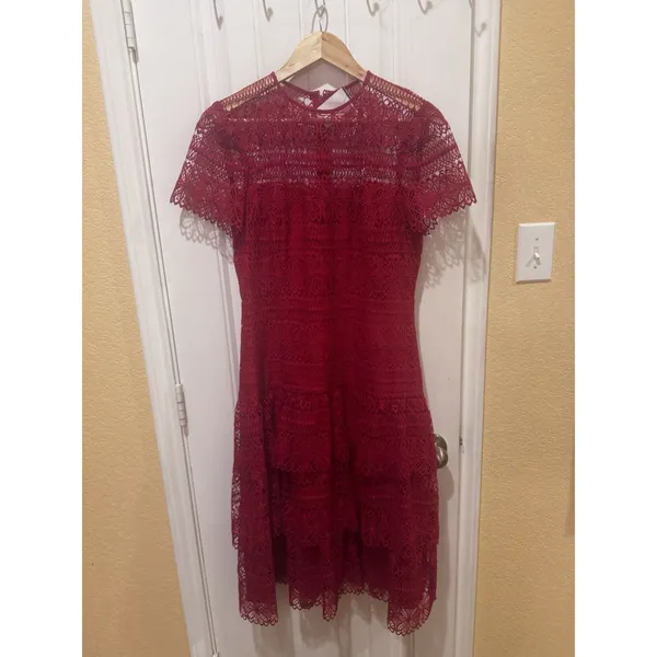 ANTONIO MELANI Red Ochre Lace Overlay Midi Dress, Mermaid-styleHem, Lined, Sz 10 - Image 5