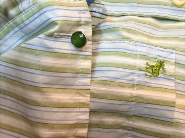 Vintage Ezra Fitch by Abercrombie & Fitch Y2K Button-Up 💚🩵 - Image 11