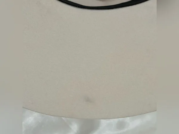 Lovely Bird Montana Fedora Wool Hat Small Cream Feather Boho Chic Western Malibu - Image 11