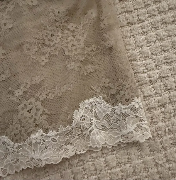 Aerie Sheer Lace Beige Tank Top - Image 5