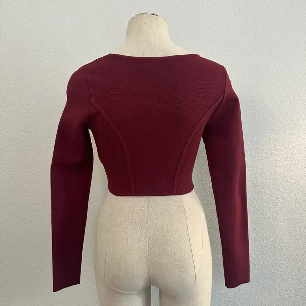 Aritzia Sculpt Knit Bustier Longsleeve 472 - Image 2