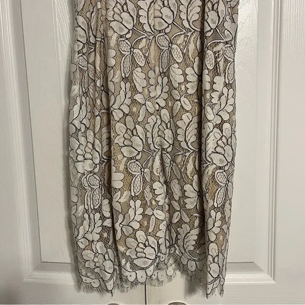 Delicate Darling Beige and Ivory Lace Bodycon Dress - Image 6