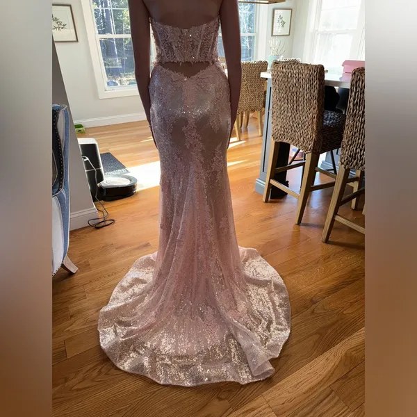 Prom / Formal Gown - Image 4