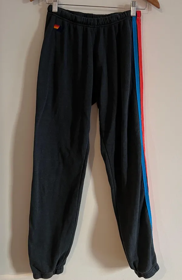 Aviator Nation Neon 5 Stripe Sweatpants - Image 3
