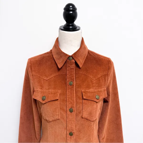 Faherty Harvest Brown Burnt Orange Corduroy Button Up Malone Shirt Dress XS New - Image 2