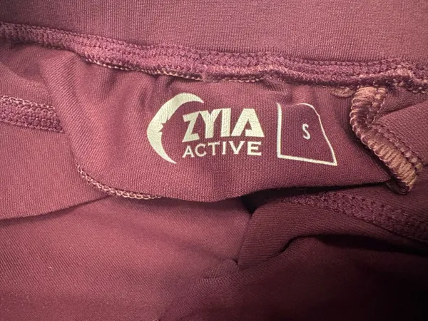 Zyia Active Joggers in Maroon - Image 3
