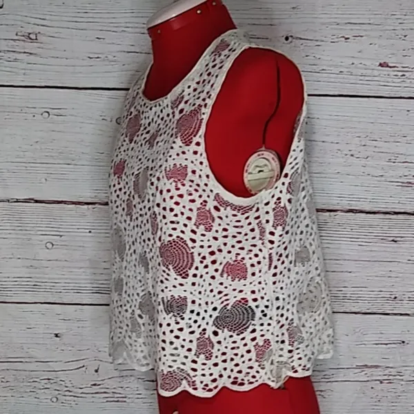 Zara Lace Crop Top Sz L - Image 3