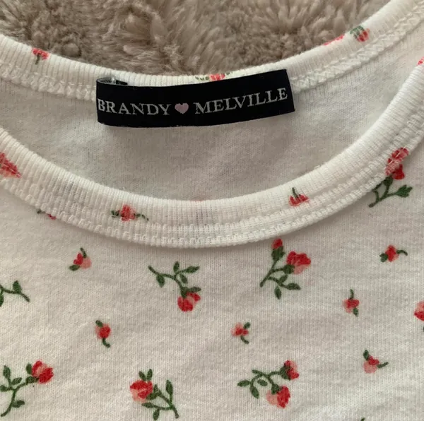 Brandy Melville Ashlyn Rose Top - Image 3