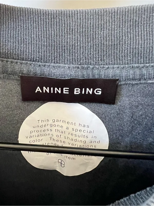 Anine Bing Ashton Spirit Of Concert Tee in Washed Black NWOT - Image 6