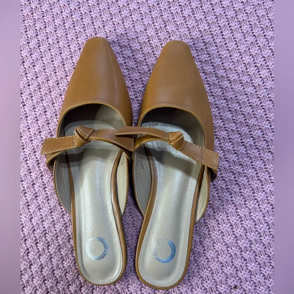 Shoes women . New ,Elegant Brown Mules with Pointed Toe and Low Heel - Image 2