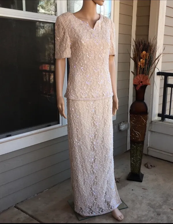 Scala Elegant Lace Evening Dress in Blush - Image 3