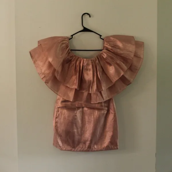 Choosy Copper Rose Organza Dress Size Small - Image 2