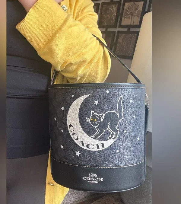 Authentic Coach Signature/Smooth leather w Celestial Cat Design bucket shoulder - Image 14