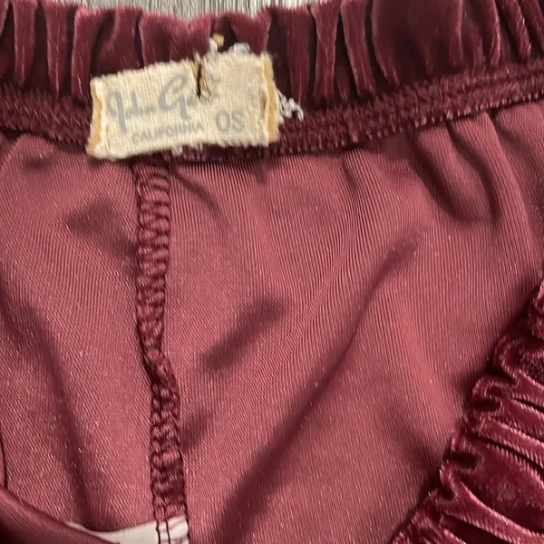 Brandy Melville Velvet Shorts - Image 3