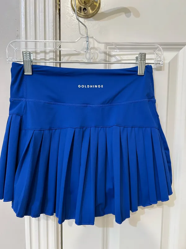 Gold Hinge Skirt - Image 2