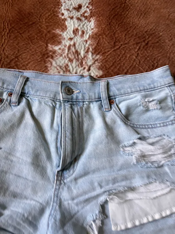 American Eagle strigid 90's Boyfriend shorts size 10 - Image 3